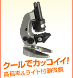 ������RXT501