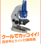 ������RXT502