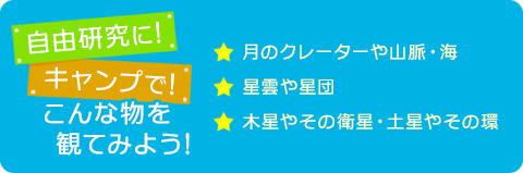 観てみよう