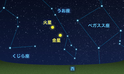 金星