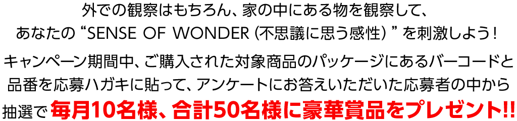 豪華賞品プレゼント