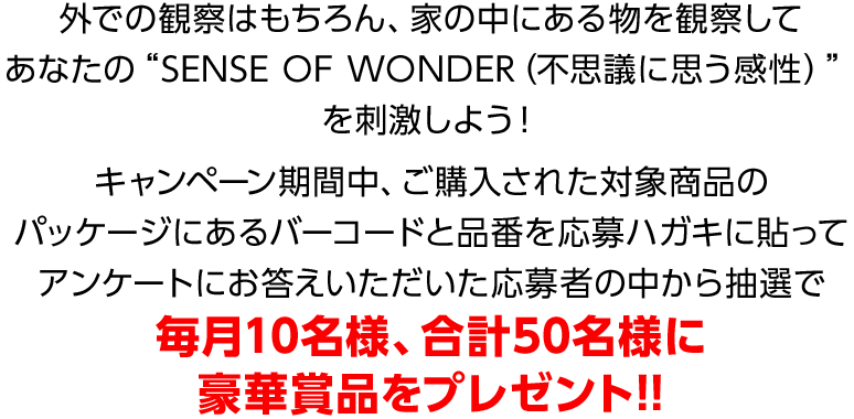 豪華賞品プレゼント