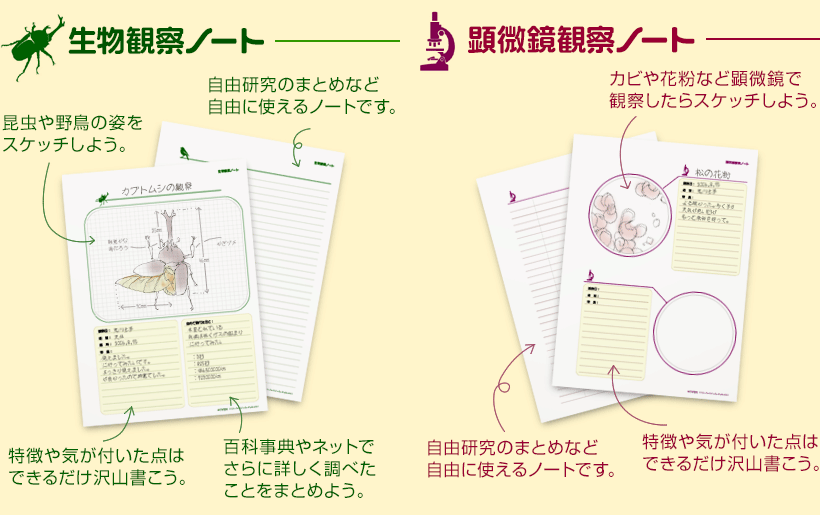 汚す ピア 薬 生き物 観察 ノート Azusa Co Jp