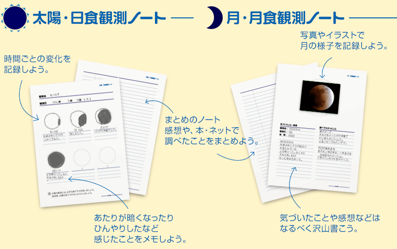 自然観察ノート紹介