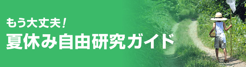 夏休み自由研究ガイド理科 小学生 中学生