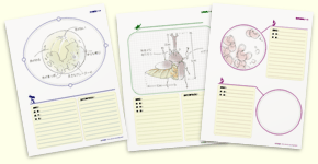 自然観察ノートダウンロード