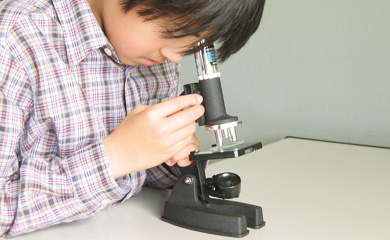 顕微鏡 の 使い方