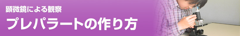 顕微鏡による観察・プレパラートの作り方