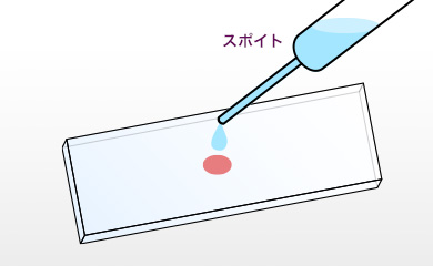 水を１滴落とす