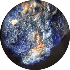 顕微鏡写真：鉱物方ソーダ石