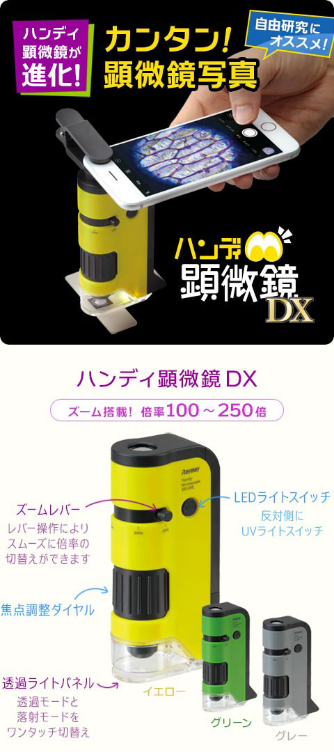 ハンディ顕微鏡DX レイメイRXT300 100〜250倍ズーム LEDライト