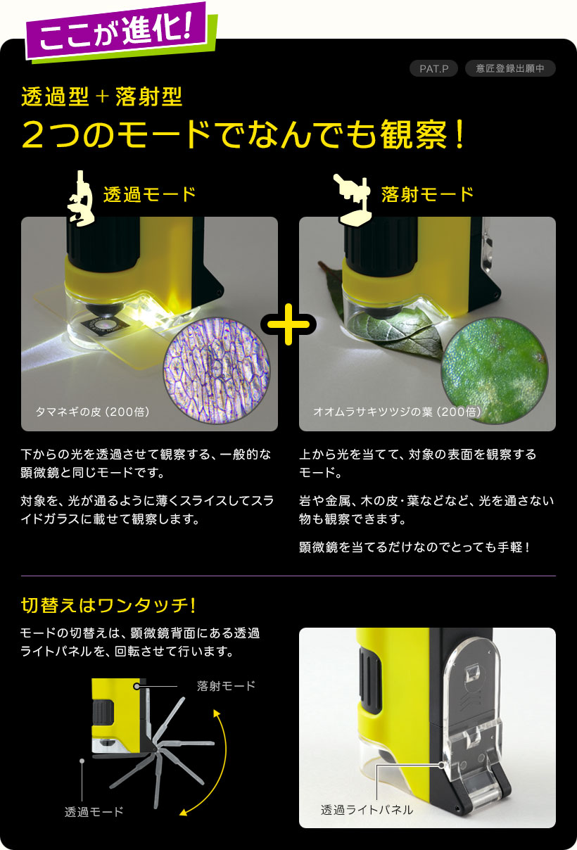 708円 超安い レイメイ ハンディ顕微鏡 ＤＸ イエロー RXT300Y