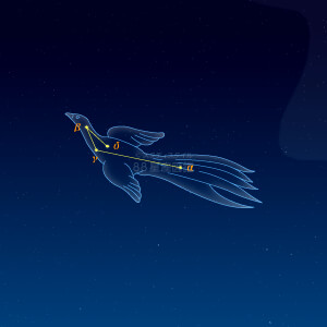 ふうちょう座イラスト（天体情報入）