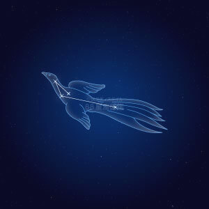 ふうちょう座イラスト