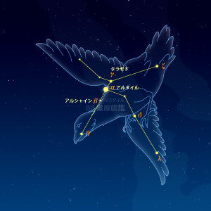 わし座イラスト（天体情報入）