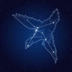 わし座イラスト