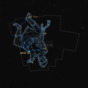 ぎょしゃ座イラスト（20時正中時の星空）
