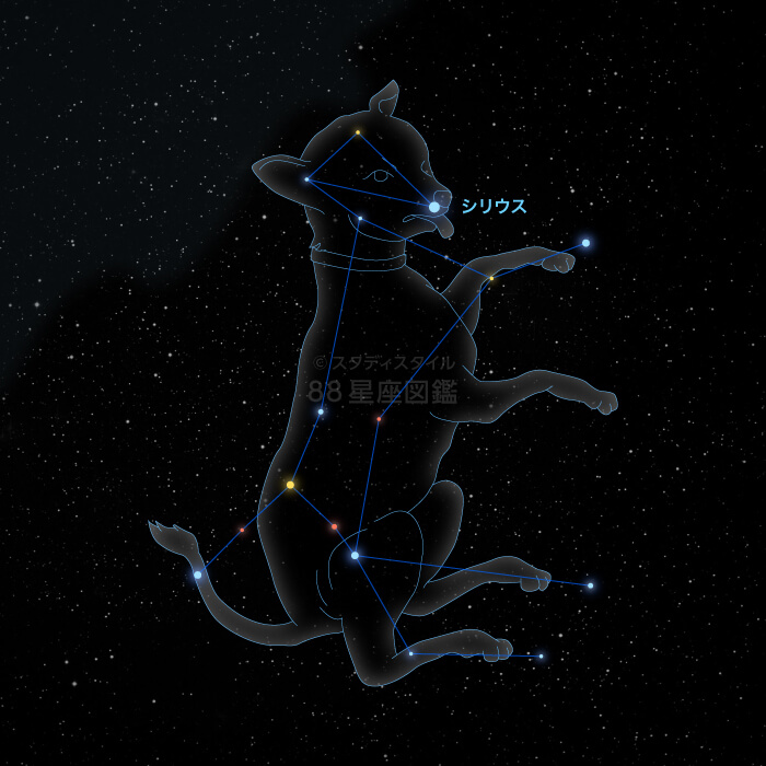 シリウス（おおいぬ座α星）｜やさしい88星座図鑑