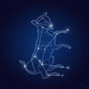 おおいぬ座イラスト