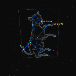 おおいぬ座イラスト（20時正中時の星空）