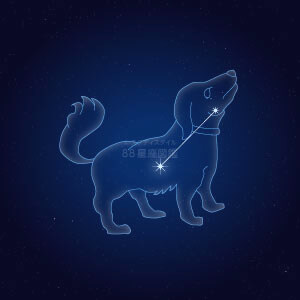 こいぬ座イラスト