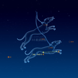 りょうけん座イラスト（天体情報入）