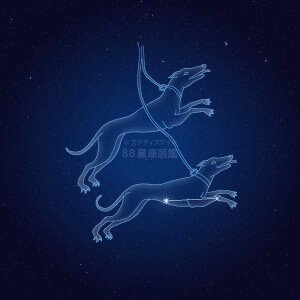 りょうけん座イラスト