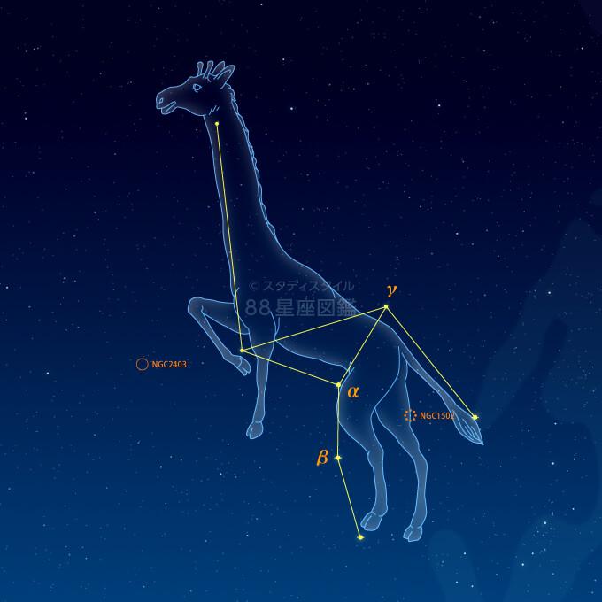 きりん座イラスト