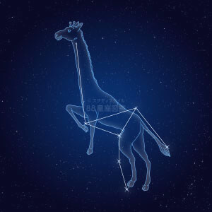 きりん座イラスト