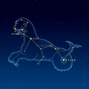 くじら座イラスト（天体情報入）