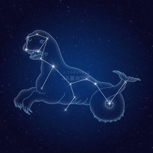 くじら座イラスト