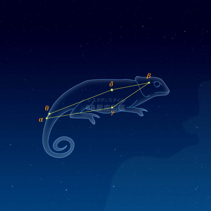 カメレオン座イラスト