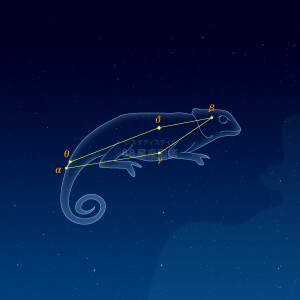 カメレオン座イラスト（天体情報入）