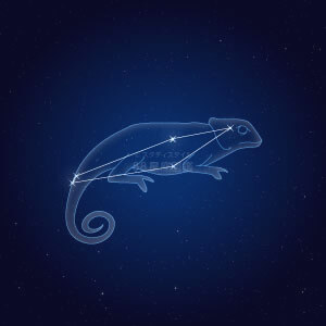 カメレオン座イラスト