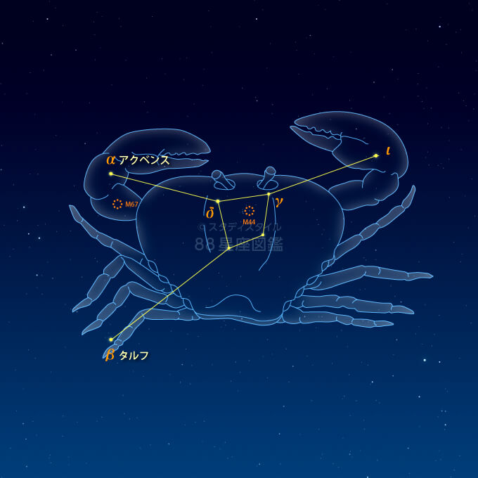 かに座 蟹座 星座図鑑