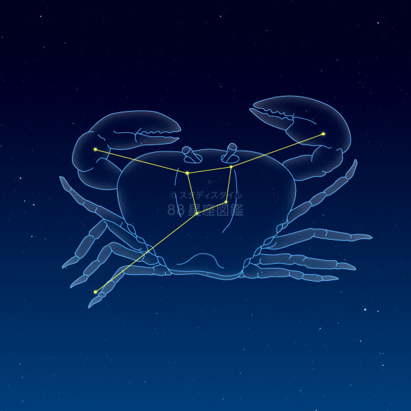 かに座 蟹座 12星座図鑑