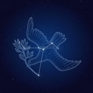 はと座イラスト