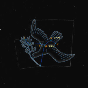 はと座イラスト（20時正中時の星空）