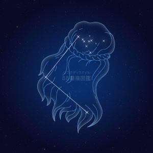 かみのけ座イラスト