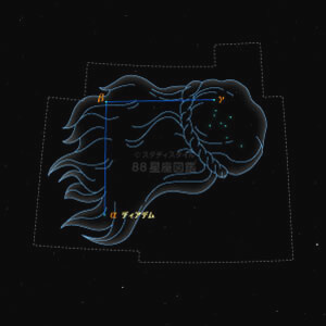 かみのけ座イラスト（20時正中時の星空）