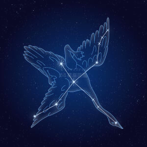 はくちょう座イラスト