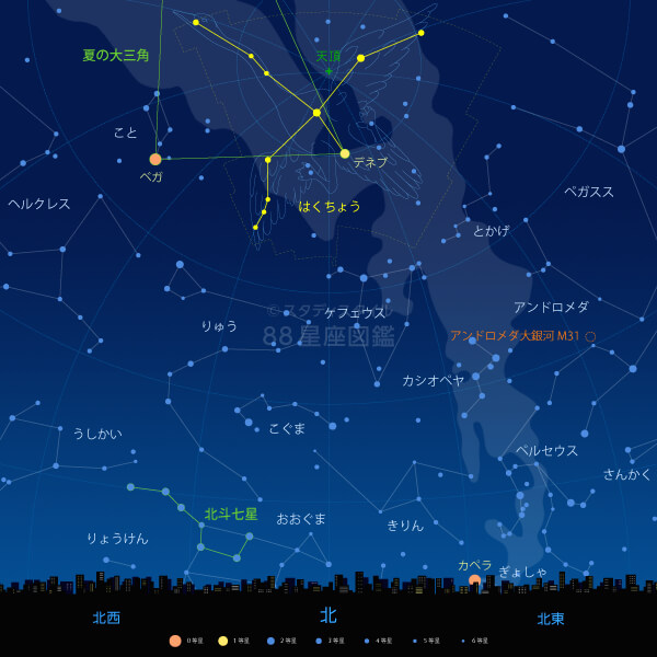 はくちょう座の見つけ方（東京の星空）