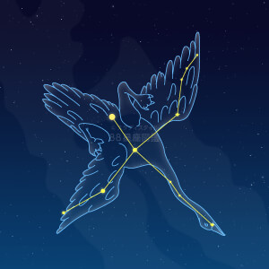 はくちょう座 星座図鑑