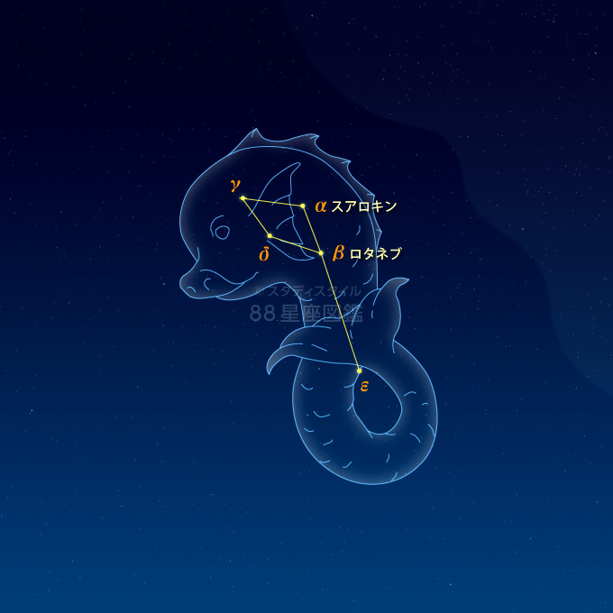 いるか座イラスト
