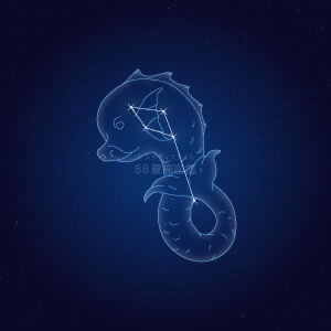 いるか座イラスト