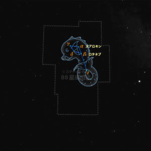 いるか座イラスト（20時正中時の星空）