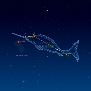 かじき座イラスト（天体情報入）