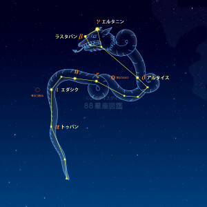 りゅう座イラスト（天体情報入）