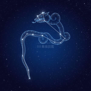 りゅう座イラスト