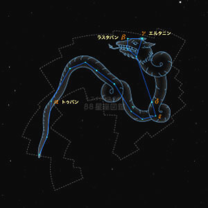 りゅう座イラスト（20時正中時の星空）